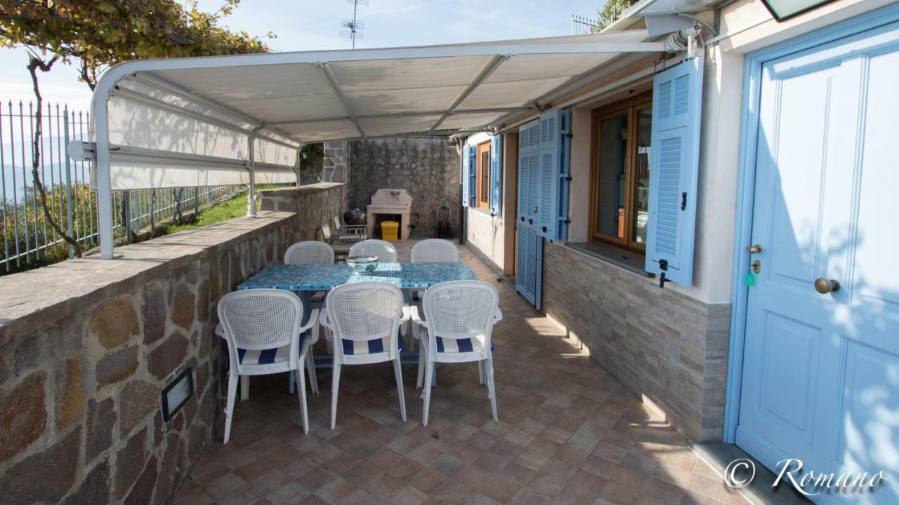 Vigna Villa Camporosso (Liguria)